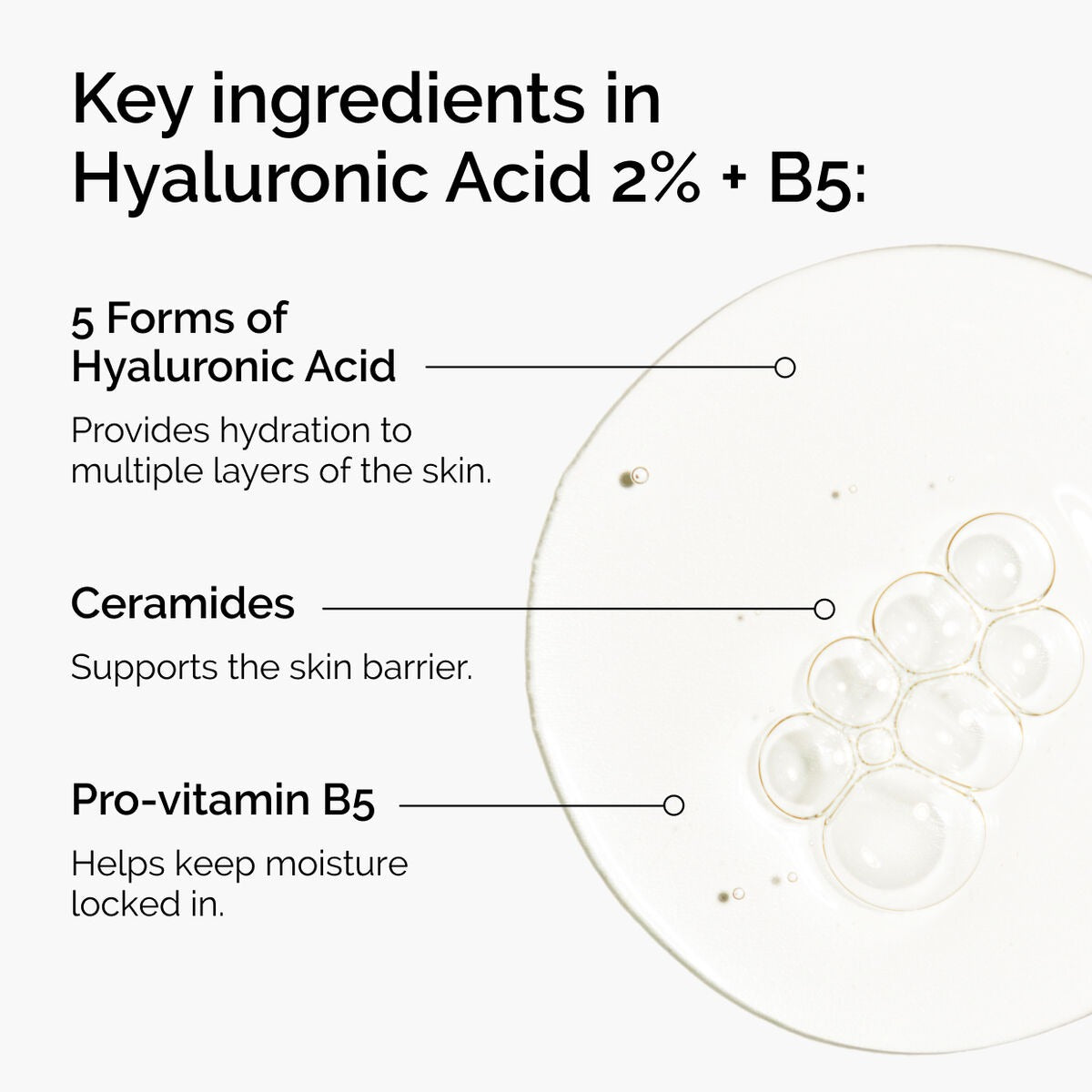 The  Hyaluronic Acid Serum